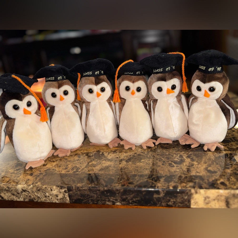 🦉 TY Beanie Baby “Wise” Graduation Owls • Class of ’98 • Set of 6 • 1997 DOB